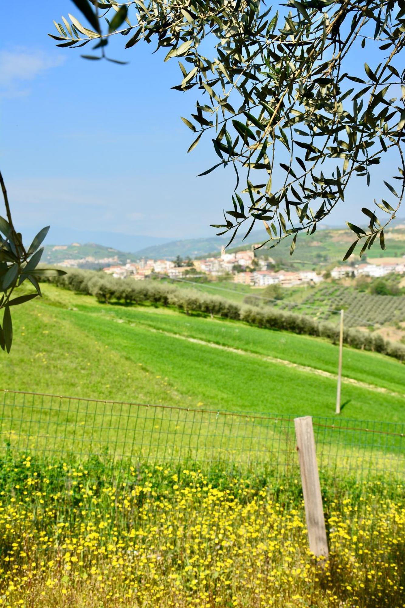 Bed And Adventure Tramontana Resort - Camera Vista Castilenti Exterior foto